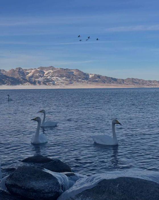 游领衔2025新疆高信誉旅行社TOP10